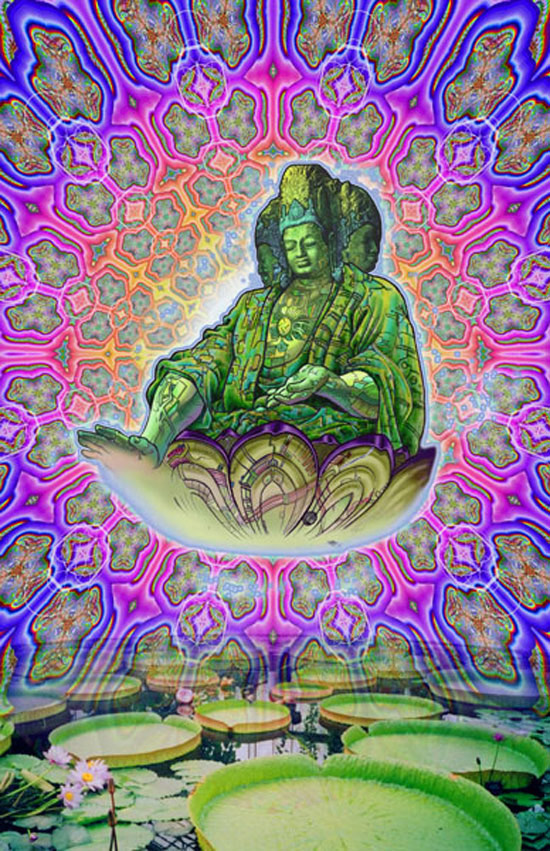 buddhism and psychedelics