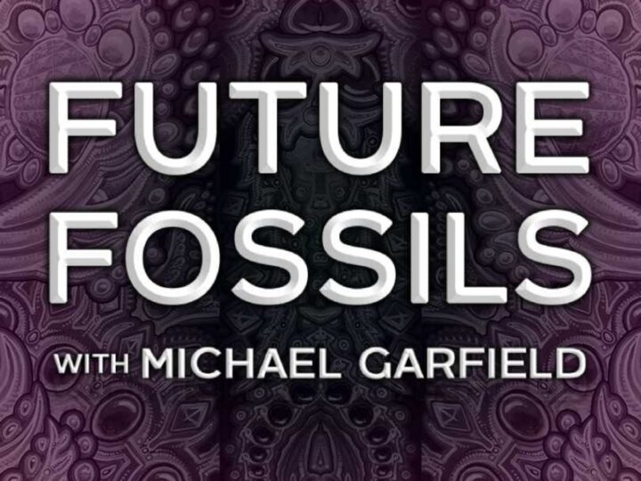 Future Fossilizing