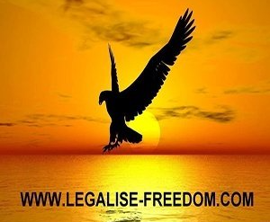 Legalize Freedom podcast